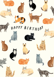 Many Cats Birthday Card