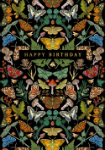Butterflies Birthday Card