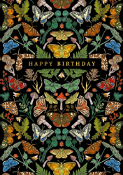Butterflies Birthday Card