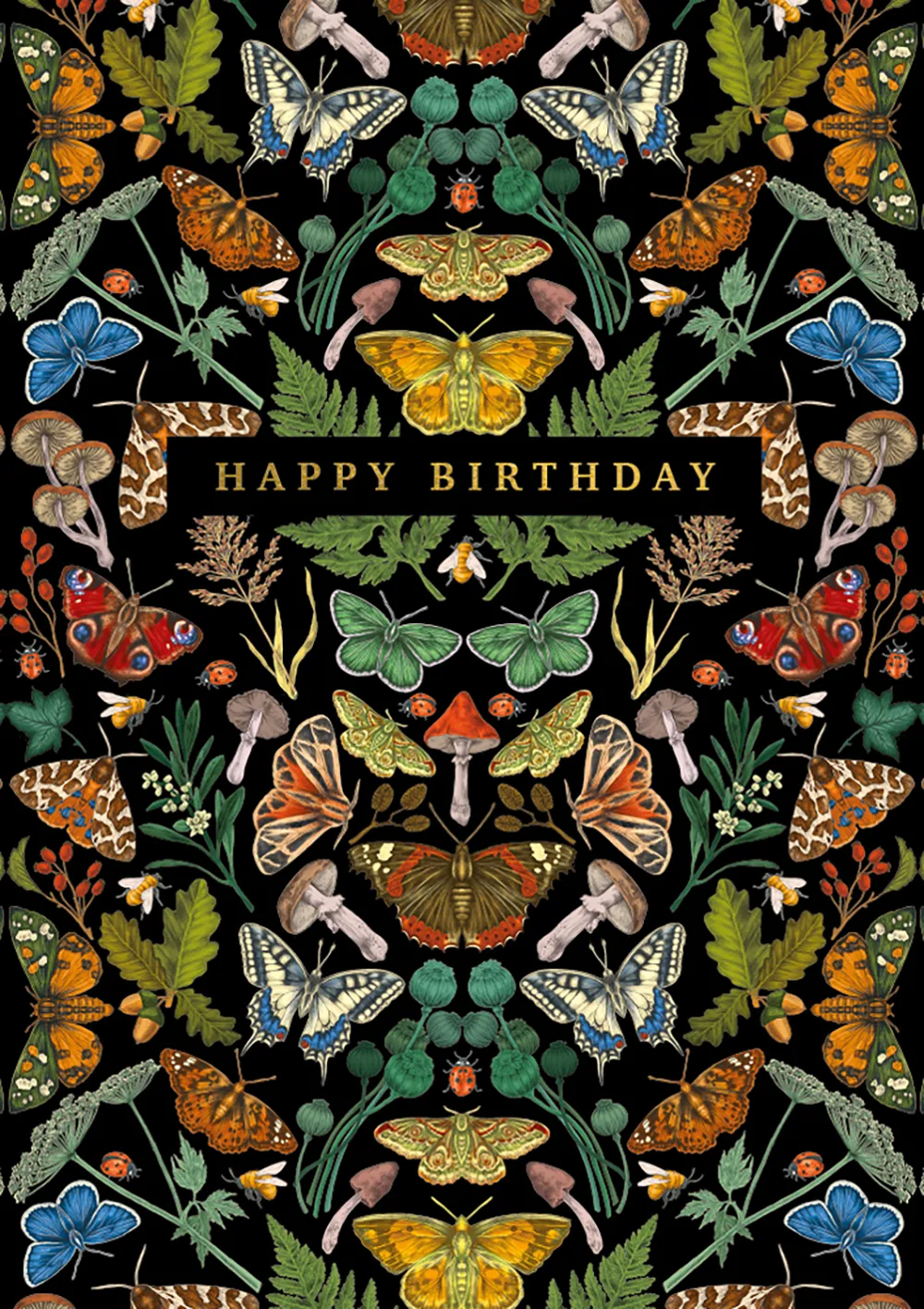 Butterflies Birthday Card