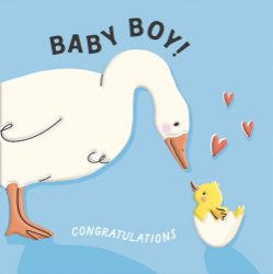 Duck Baby Boy Card