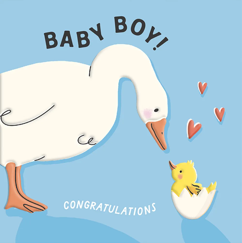 Duck Baby Boy Card