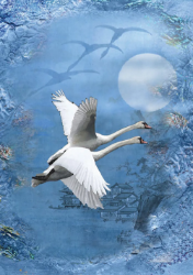 Flying Swans Blank Card