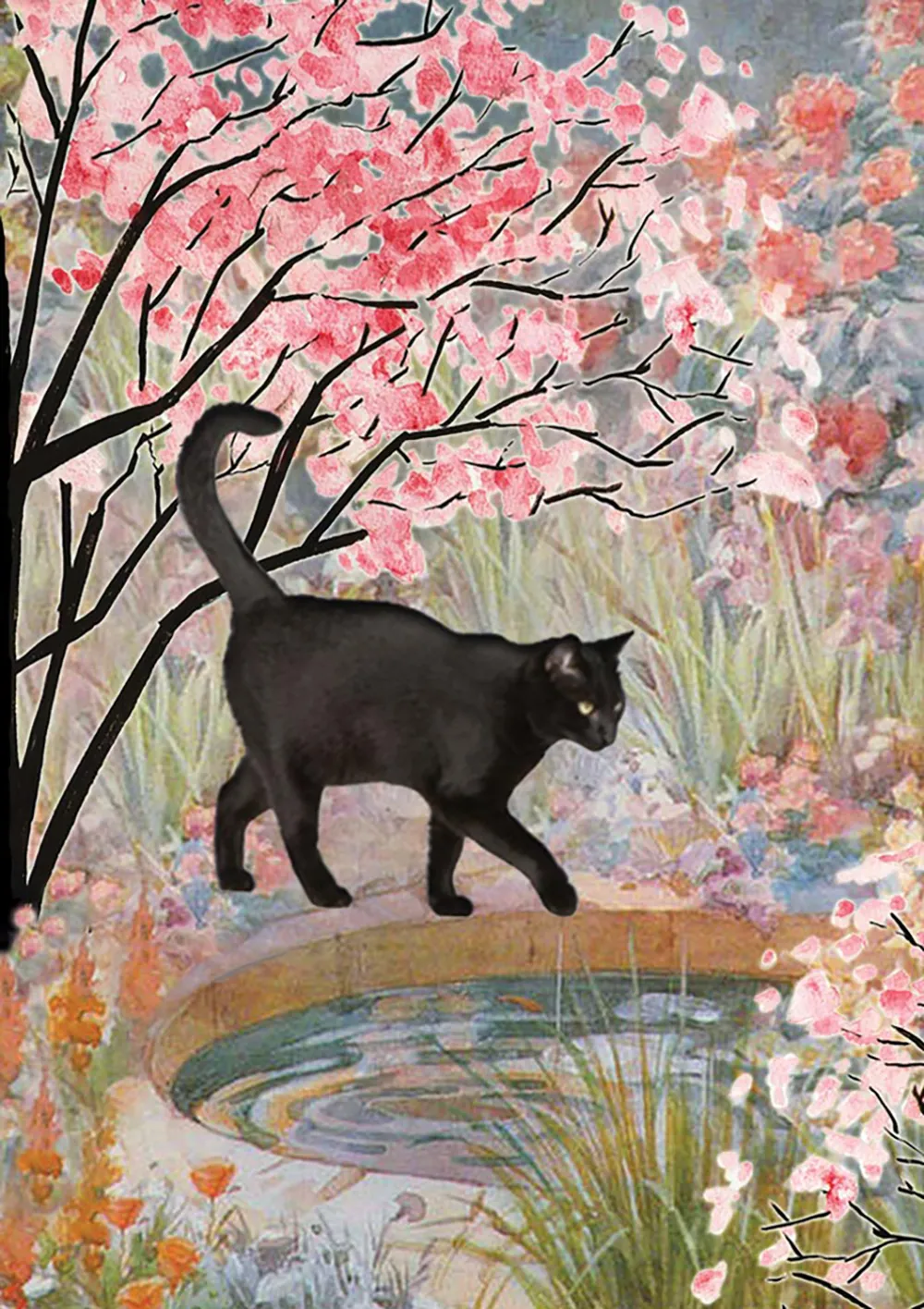 Black Cat & Pond Blank Card