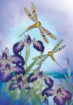 Purple Flowers Dragonflies Blank Card