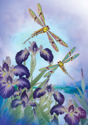 Purple Flowers Dragonflies Blank Card
