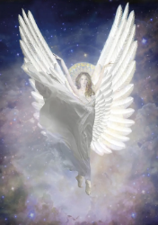 Angel Starry Sky Blank Card