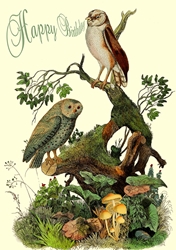 Owls in the Wood Birthday Card 