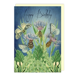 Corn Flower Blue Birthday Card 