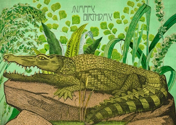 Alligator Birthday Card