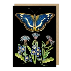 Blue Butterfly Blank Card 