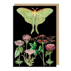 Green Moth Blank Card 