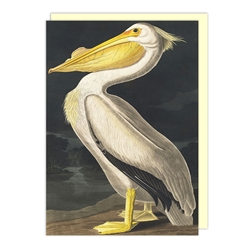 Pelican Blank Card 