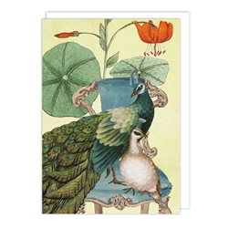Peacock Pigeon Blank Card 