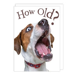 How Old Dog Birthday Card 