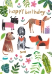 Dogs Birthday Card 