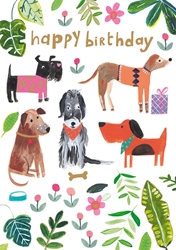 Dogs Birthday Card 