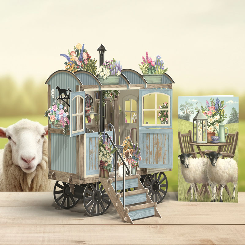 3D Betty Blue Blank Card