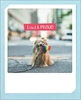 Loud Proud Dog Friendship Card Friendship