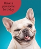 Pawsome Birthday Card 