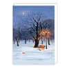Winter Park Christmas Card Christmas