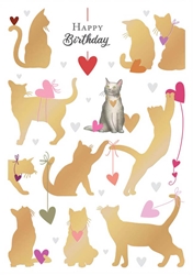 Cats Birthday Card