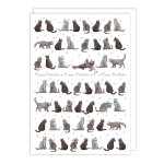 Cats Birthday Card 