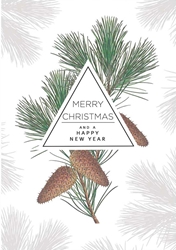 Pinecones Christmas Card Christmas