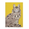 Diecut Tabby Cat Blank Card 