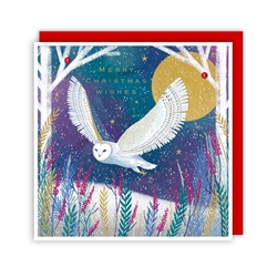 Owl Moon Christmas Card Christmas
