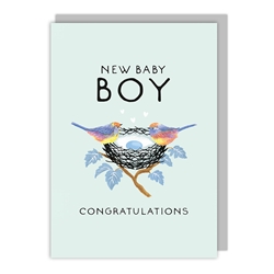 Nest Boy Baby Card 
