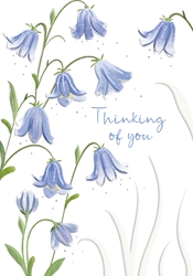 Bluebells Thinking of You Card