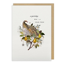 Partridge Pear Christmas Card Christmas