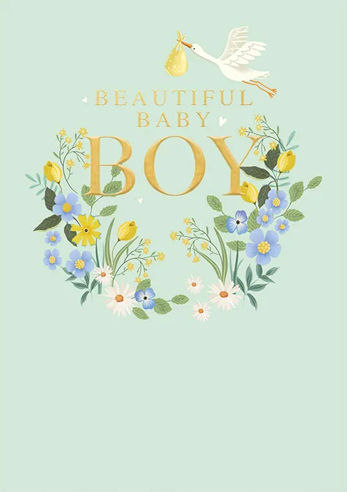 Stork Baby Boy Greeting Card