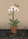 White Orchid Greeting Card