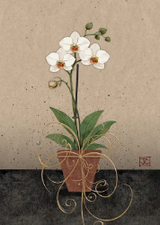 White Orchid Greeting Card