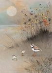 Plover Family Blank Greeting Card