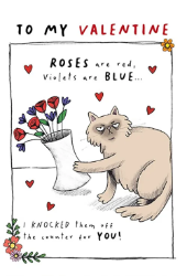 Cat Counter Valentines Day Greeting Card