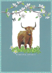 Highland Cow Birthday Greeting Card