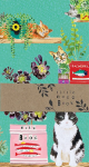 Cats Plants Small Notebook