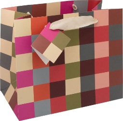 Geo Check Landscape Gift Bag