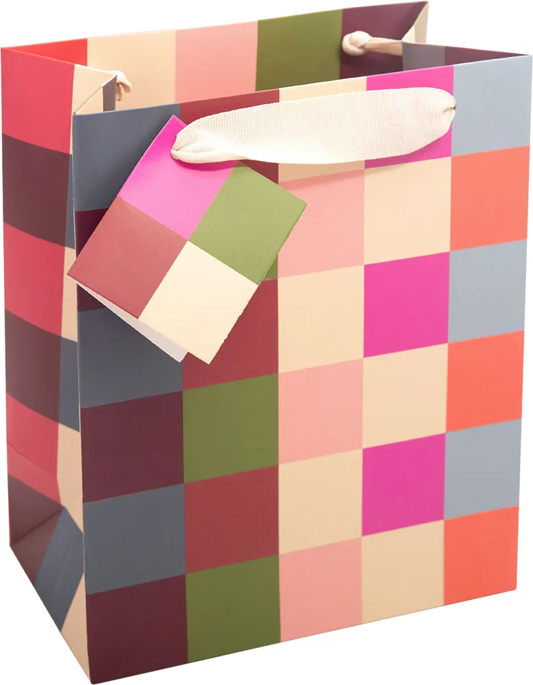 Geo Check Medium Gift Bag