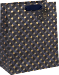 Astral Axis Large Gift Bag