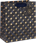 Astral Axis Medium Gift Bag
