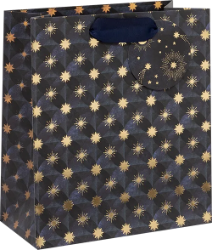 Astral Axis Medium Gift Bag