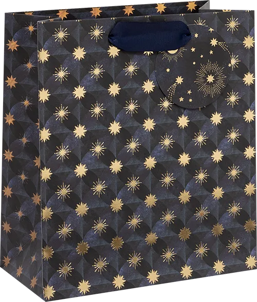 Astral Axis Medium Gift Bag