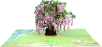 3D Wisteria Blank Greeting Card