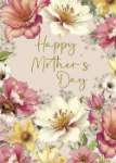 Special Mom Mother's Day Greeting Card