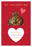 No Bunny Valentine's Day Greeting Card