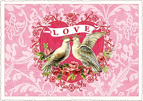 Doves Love Postcard